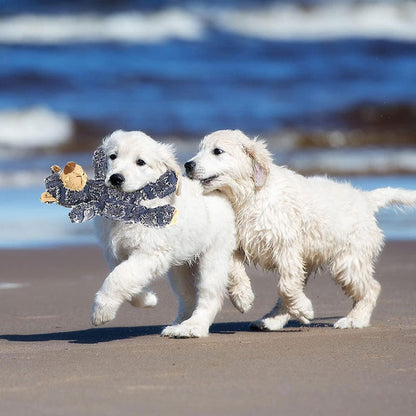 Robust Bear Plush Toy