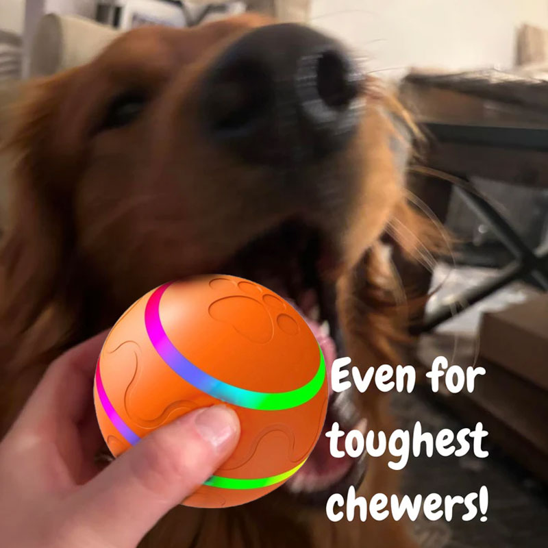 🐾Pet Virus Bouncing Ball