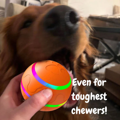 🐾Pet Virus Bouncing Ball