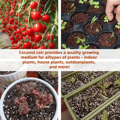 🔥2025 New Year Big Sale⏰ - ✨Organic Coconut Coir for Plants🥥🌱