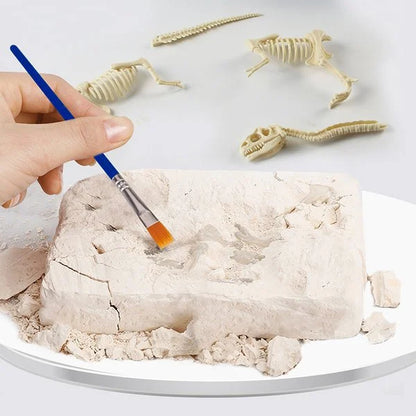 🦖Dinosaur Fossil Digging Kit