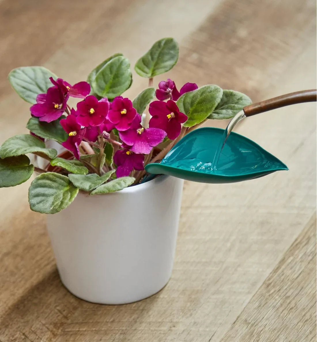 🔥Summer Hot Sale🔥Watering Leaves