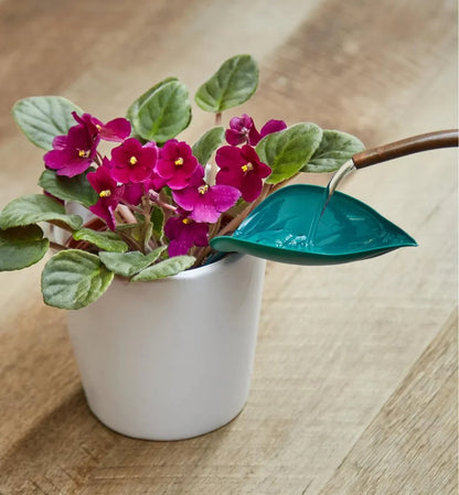 🔥Summer Hot Sale🔥Watering Leaves