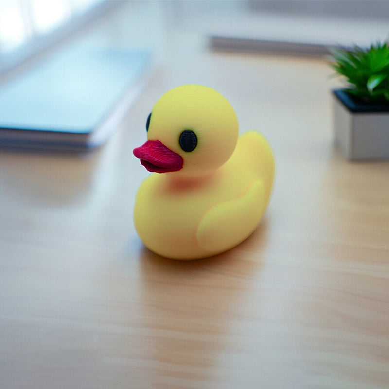 👨‍🎓Classroom Management Lucky Ducks🦆