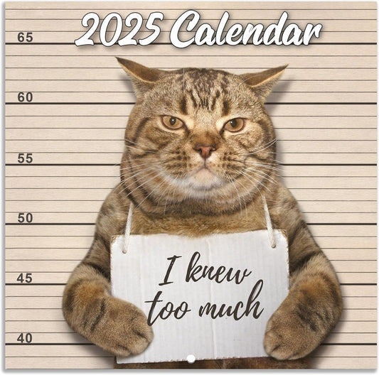🔥Christmas Hot Sale - 🐱Funny Cat Calendar 2025📅
