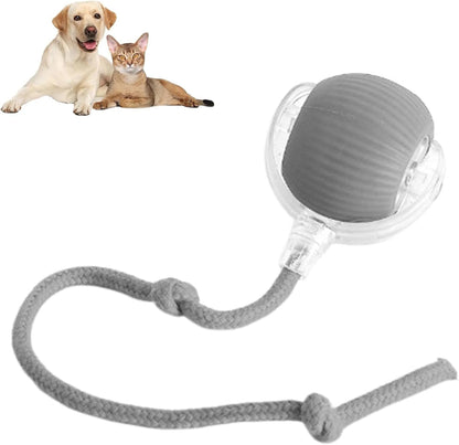 Smart Chasing Pet Toy Ball