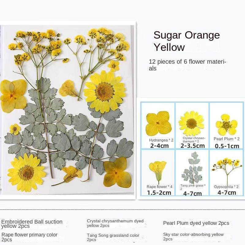 Transparent Dried Flower Bookmarks