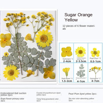 Transparent Dried Flower Bookmarks