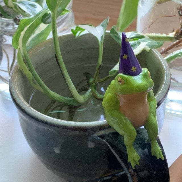 🐸Little Wizard Frog Ornament🧙