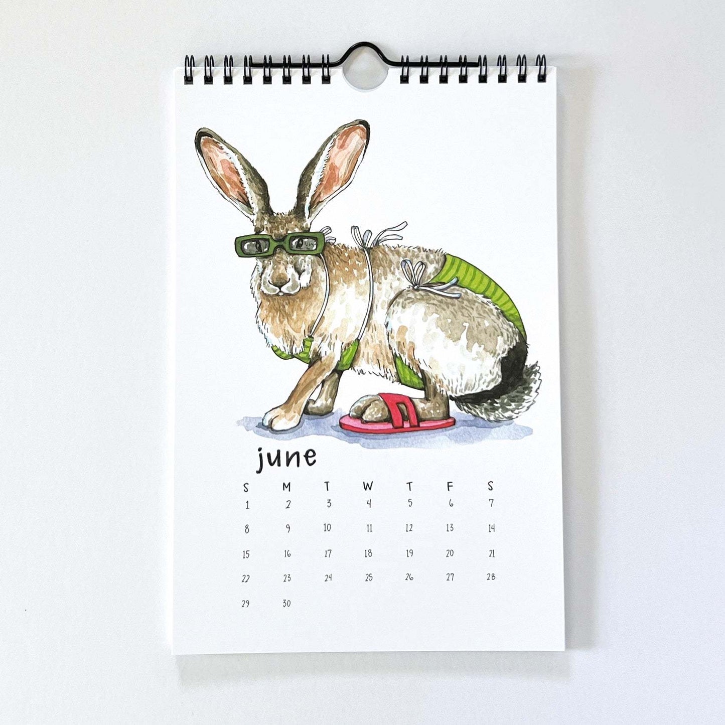 👙2025 Swimsuit Animals Watercolor Wall Calendar