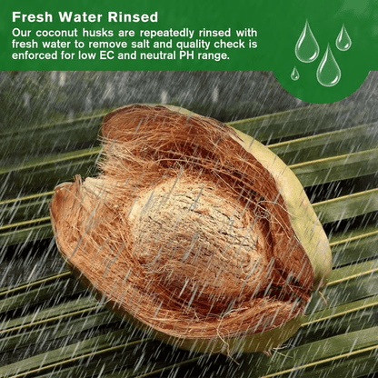 🔥2025 New Year Big Sale⏰ - ✨Organic Coconut Coir for Plants🥥🌱