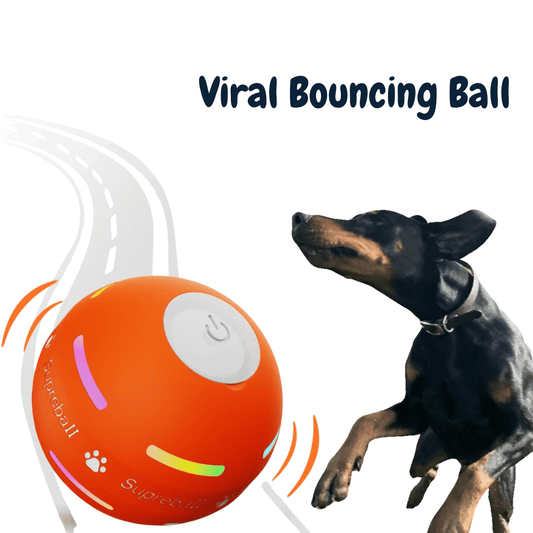 🎄Christmas Flash Sale-49% OFF-Chewie Viral Bouncing Ball