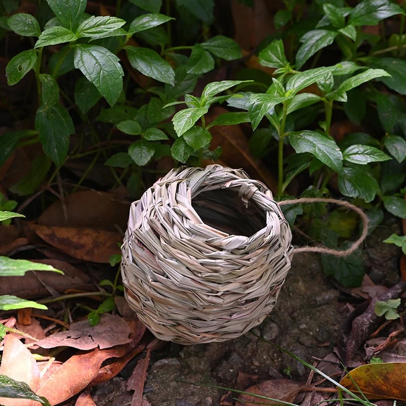 💲ONE DAY 49% OFF-🐦Hummingbird Nest House