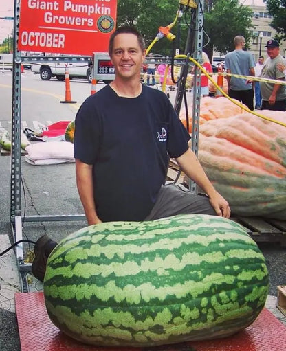 🔥Last day clearance🍉Lazy Man's Watermelon Seeds