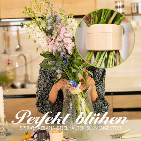 🎄Valentine's Day Deals-49% OFF🎄Spiral Ikebana Stem Holder