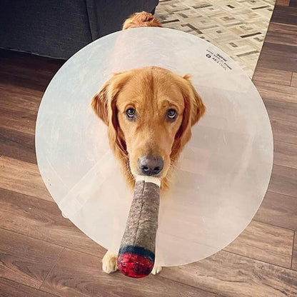 🐾Pet Teething Toys