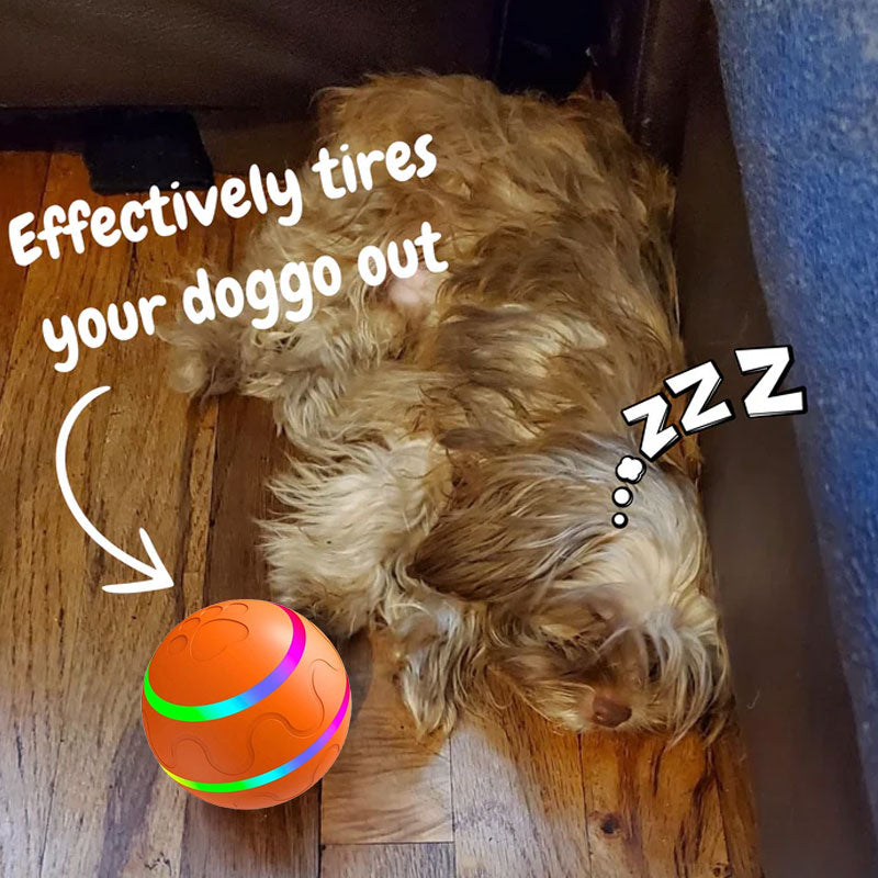 🐾Pet Virus Bouncing Ball