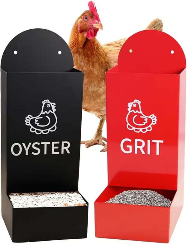 🚀Oyster Shell & Grit Feeder – Precision Nutrition, Zero Mess🐔