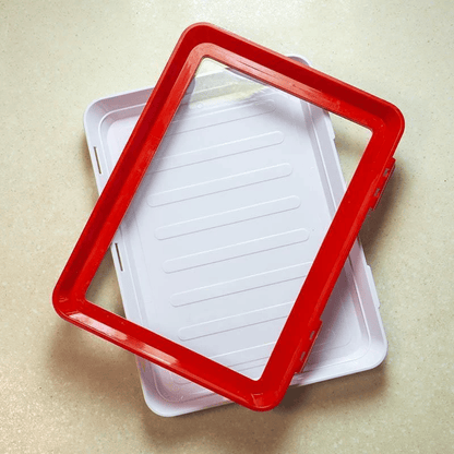 New Style Food Preservation Tray