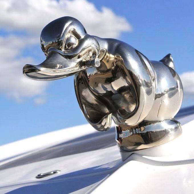 🎁Hood Ornament