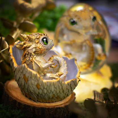 🐲🥚Dragon Hatchling