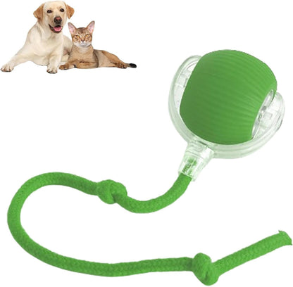 RolliePet smart chase pet toy ball