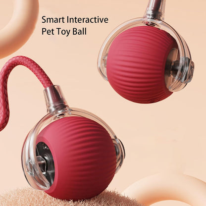 RolliePet smart chase pet toy ball