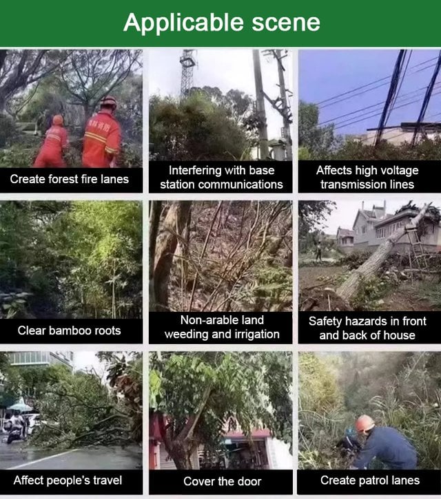 🔥LAST DAY PROMOTION 49% OFF 🔥 - Hexazinone root killing tree remover