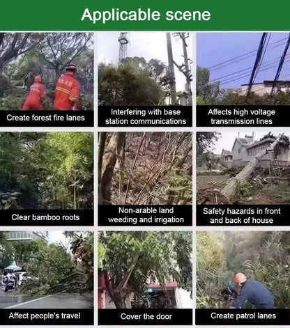 🔥LAST DAY PROMOTION 49% OFF 🔥 - Hexazinone root killing tree remover