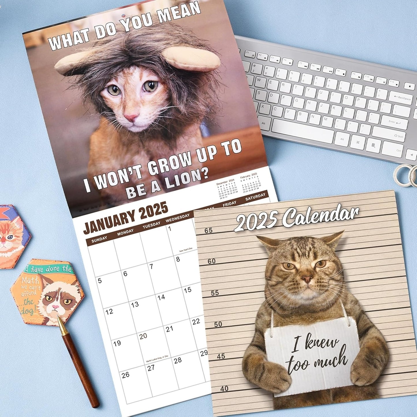 🔥Christmas Hot Sale - 🐱Funny Cat Calendar 2025📅