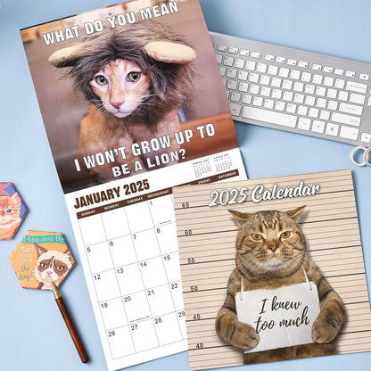 🔥Christmas Hot Sale - 🐱Funny Cat Calendar 2025📅