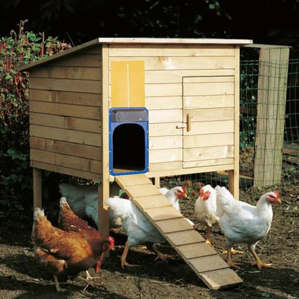 🎉LAST DAY 49% OFF🎉 --Automatic Chicken Coop Door