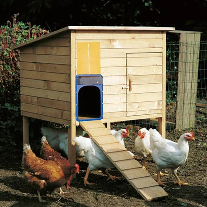 🎉LAST DAY 49% OFF🎉 --Automatic Chicken Coop Door
