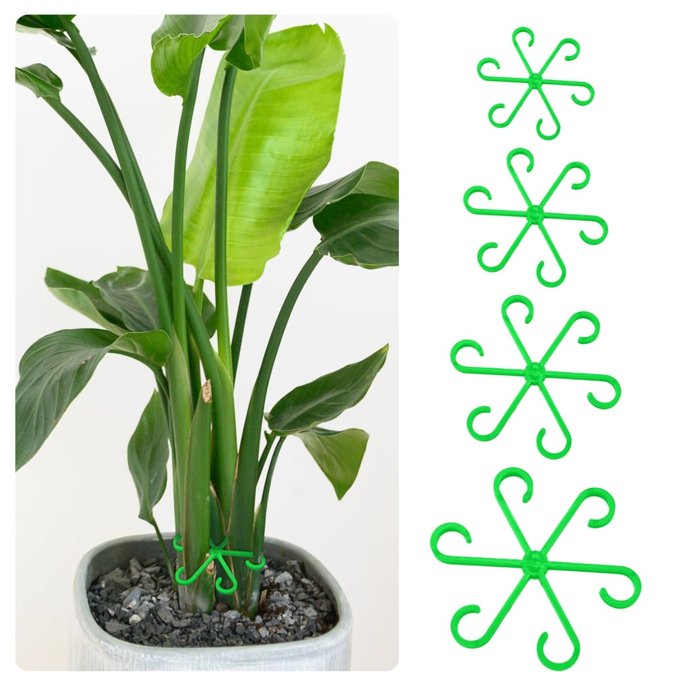 🔥Last Day 49% OFF -🌿Plant Stem Support Set