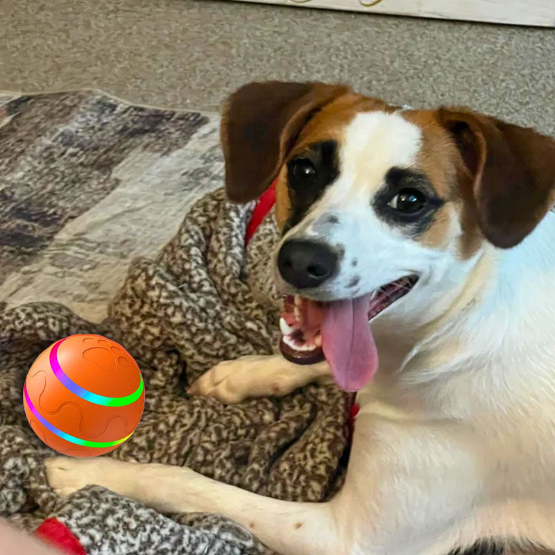 🐾Pet Virus Bouncing Ball