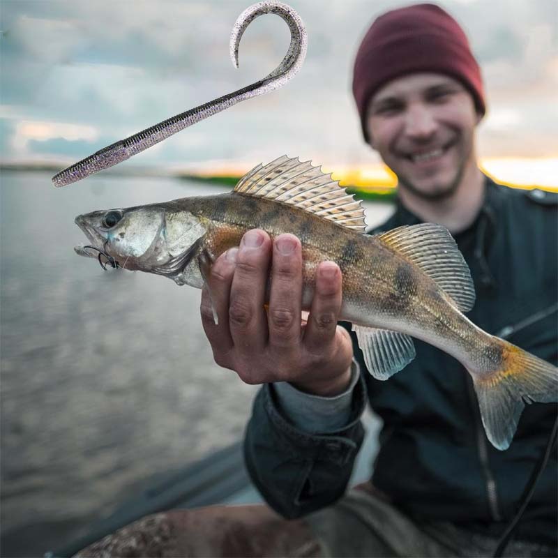 Realistic Soft Worm Fishing Lures(8 Pcs per pack)