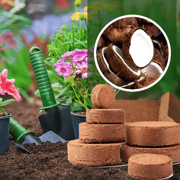 🔥2025 New Year Big Sale⏰ - ✨Organic Coconut Coir for Plants🥥🌱