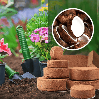 🔥2025 New Year Big Sale⏰ - ✨Organic Coconut Coir for Plants🥥🌱