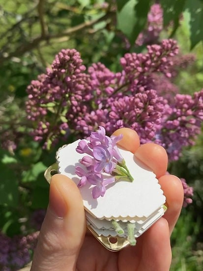 🔥Last Day 49% OFF-2025 Architecturm Micro Flower Press