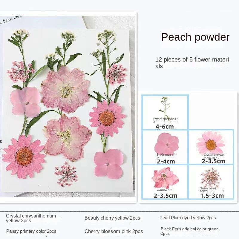 Transparent Dried Flower Bookmarks