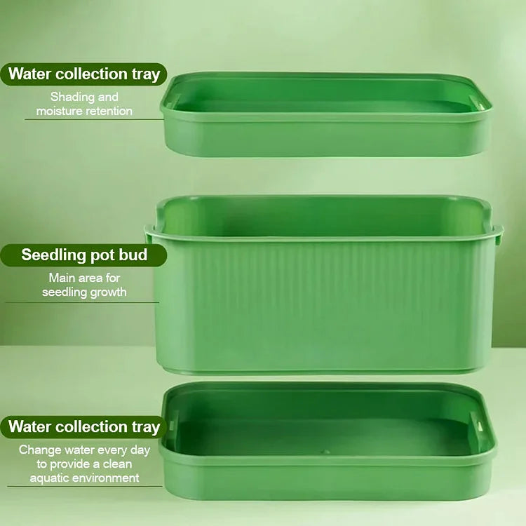 Stackable Bean Sprout Growing Box