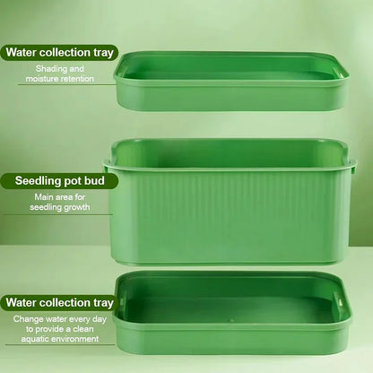 Stackable Bean Sprout Growing Box