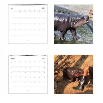 Moo Deng Calendar | 2025 Calendar