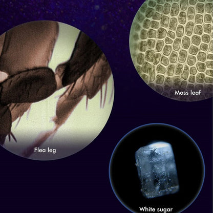 🔥49% OFF - Pocket Microscope for Kids