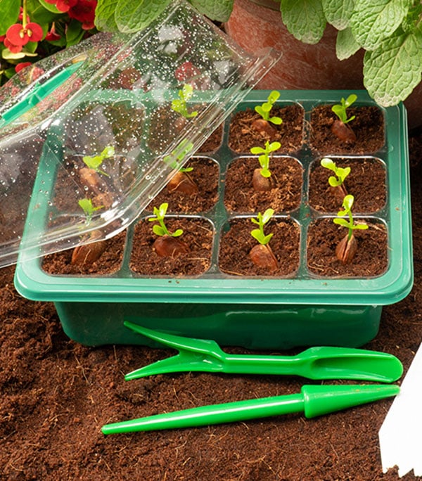 ✨LAST DAY 49% OFF🔥Adjustable Humidity Seed Starter Trays