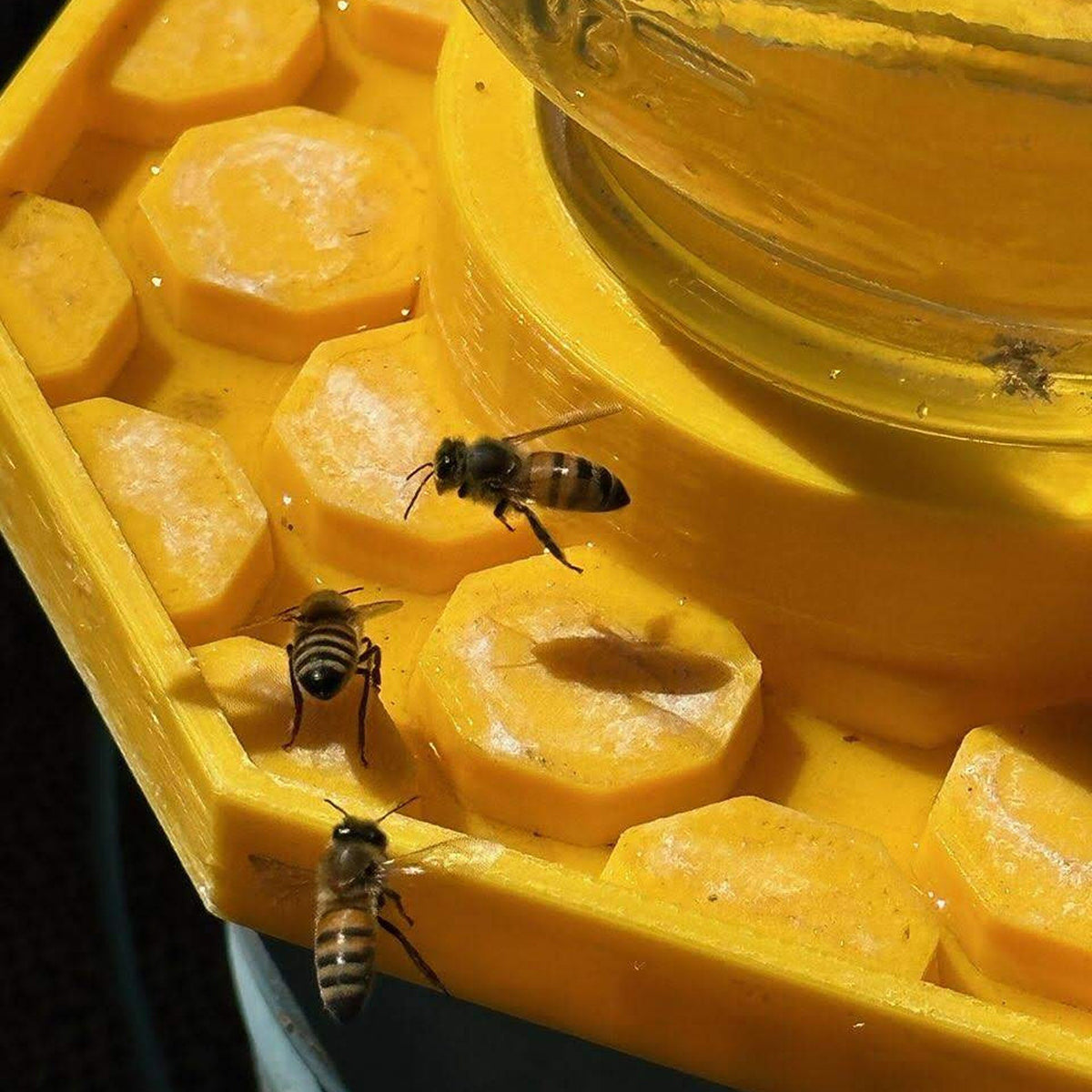 🔥Hot Sale 49% OFF - 🐝💦Bee Watering Dish (3D Printed)
