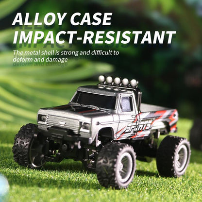 OEIN Mini RC Monster Truck