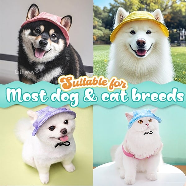 Summer Fashion Pet Visor Sun Hat