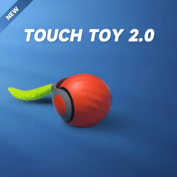 🔥Last Day 48% OFF - TOUCH TOY 2.0