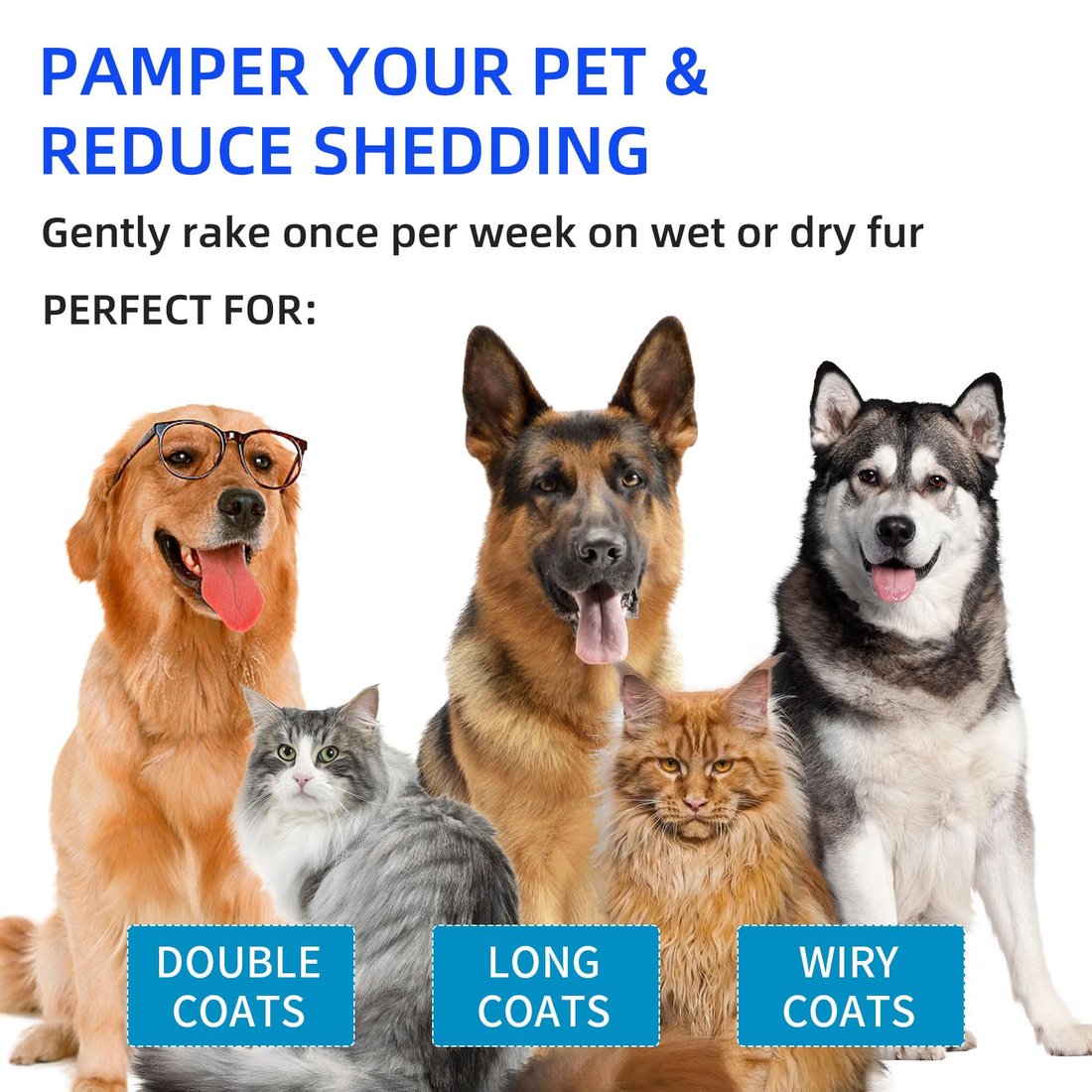 🔥FLash Sale 49% OFF🔥Pet Spray Hair Removal Comb